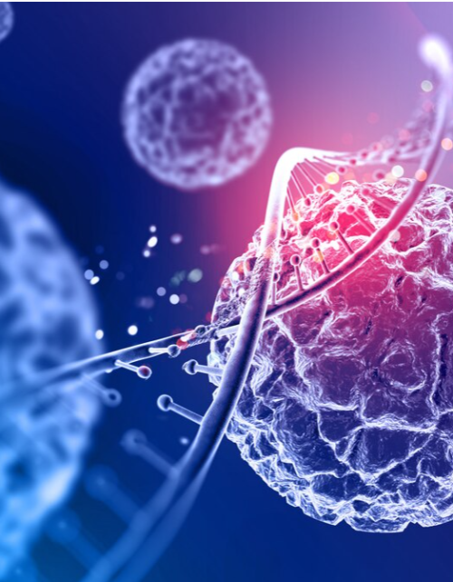 imagen_2024-01-10_135604263